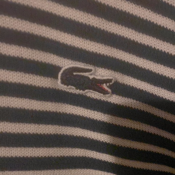 Lacoste navy and white sweater 100% cotton - Picture 2 of 5